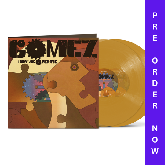 Gomez - How We Operate