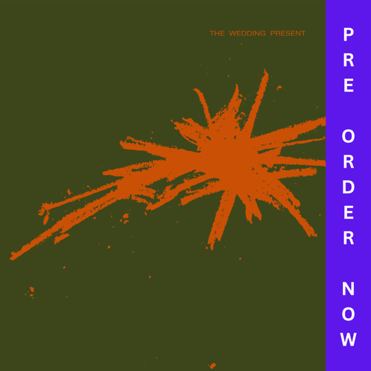 The Wedding Present - Bizarro