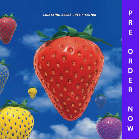 The Lightning Seeds - Jollification